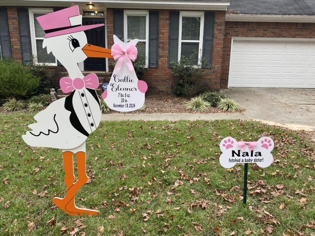 Nala Fetched a Baby Sister!