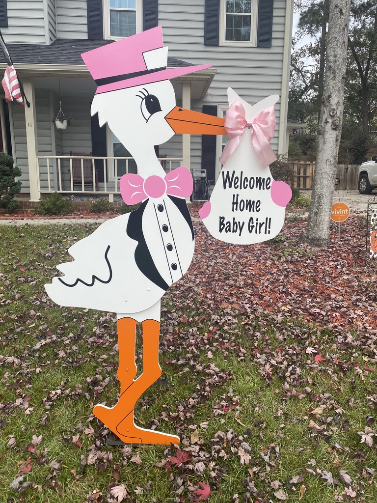 WELCOME HOME BABY GIRL!